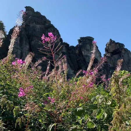 Hotel Teutonia Horn-Bad Meinberg