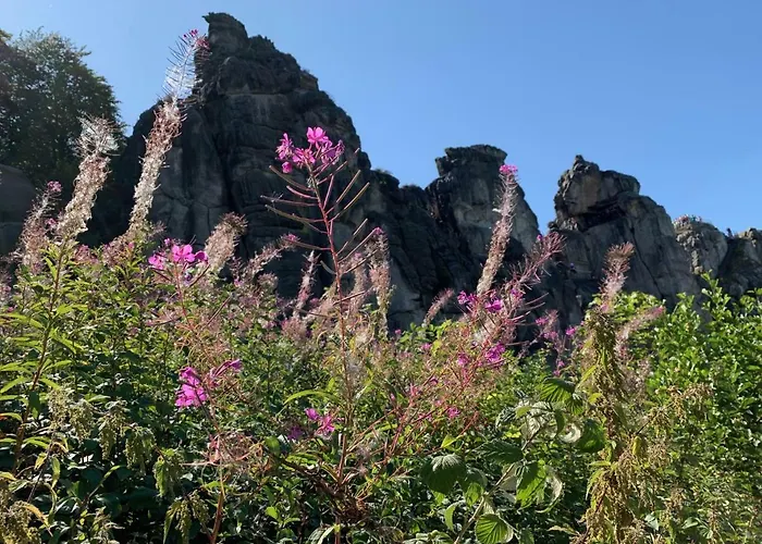 Hotel Teutonia Horn-Bad Meinberg